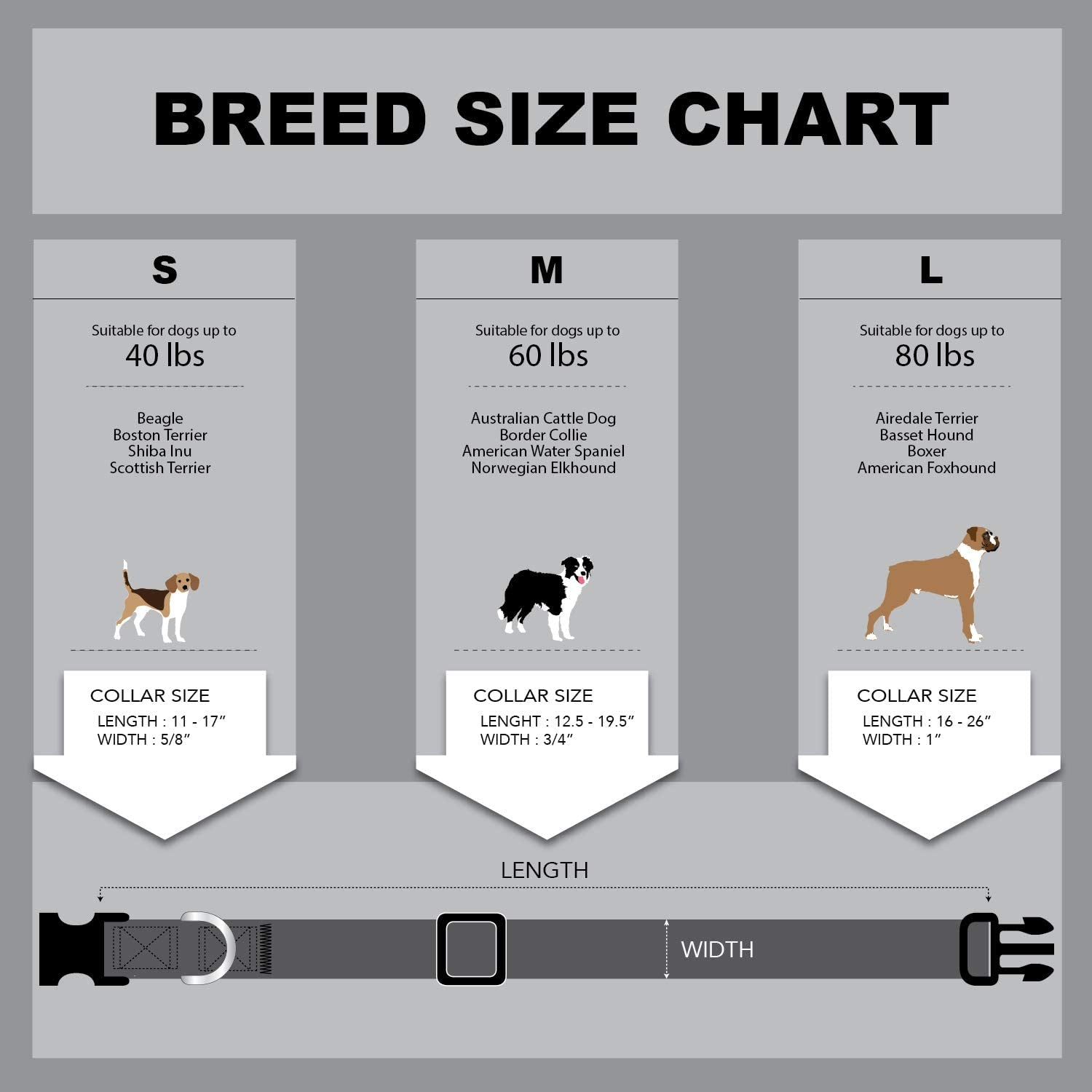 Floral Flower Dog Collar (Large, Rose)