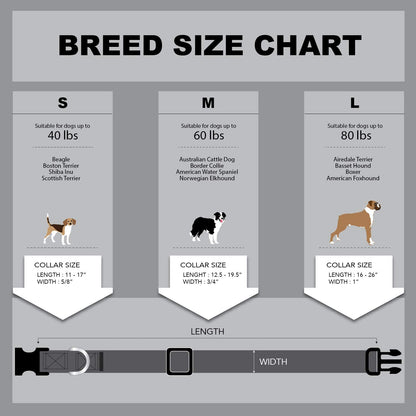 Floral Flower Dog Collar (Large, Rose)