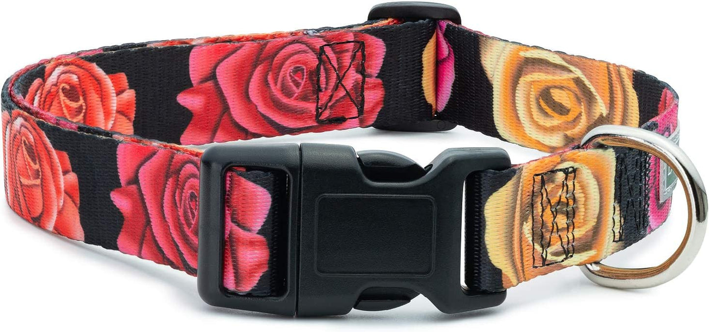 Floral Flower Dog Collar (Large, Rose)