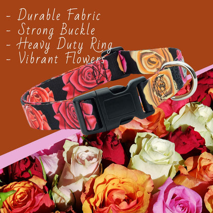 Floral Flower Dog Collar (Large, Rose)